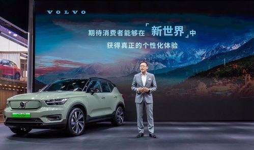 汽车品牌服务理念与实践案例