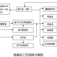 揭秘室内空气检测的重要性与选择指南