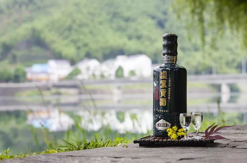 全球进口防水电脑品牌大盘点