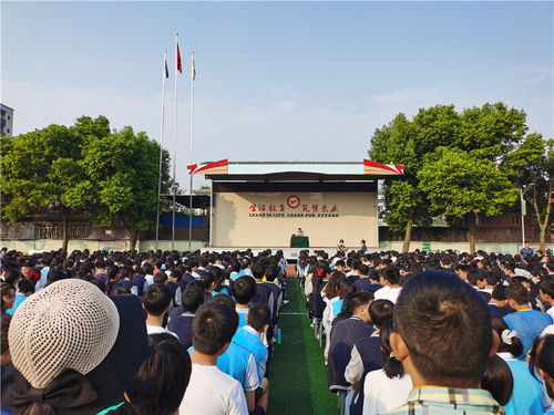 揭秘，如何安全地借阅老公的密码和聊天记录？