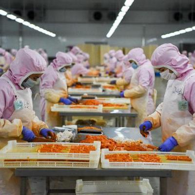 新疆农村靠什么致富—深度解析与实例探究