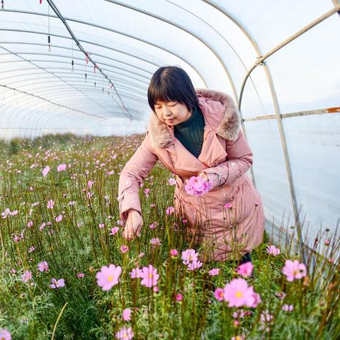 做什么干花赚钱快？探索干花行业的商机与秘诀