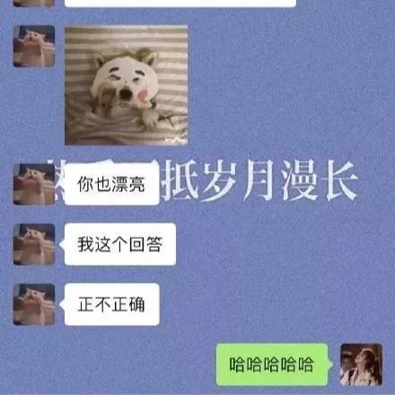 揭秘如何巧妙获取老公微信聊天记录，实用技巧大公开！