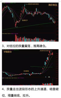 股票买卖操盘赚钱秘籍，策略与案例分析