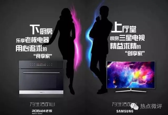 家电品牌跨界现象探析