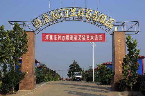 农民致富之路，探讨适合农村的生意与案例