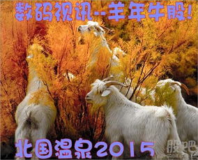 广汉套出来羊小咩便荔卡，一场别开生面的羊年狂欢