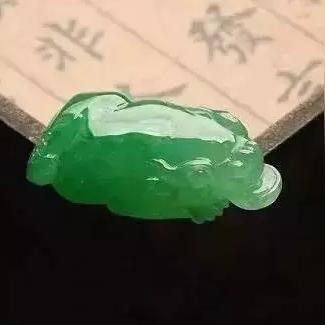 养金鱼致富的绝招大揭秘！内含实用绝招与案例解析