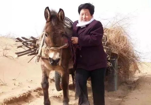 羊小咩便荔卡提现8个点，揭秘这个神秘操作背后的秘密！