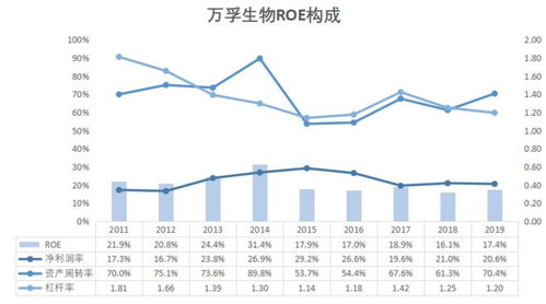 打造医药品牌，从市场调研到品牌定位的全方位策略