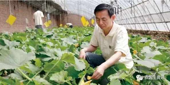 农民致富，发明创新助力农产品升级与增值
