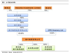 绿叶加盟代理，究竟怎么样？深度解析加盟流程与案例