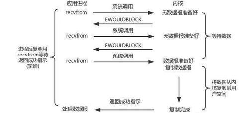 致富的原理是什么，深度解析与实例探究