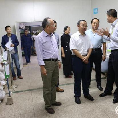 广济堂医药品牌，传承与创新的典范