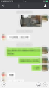 轻松查询聊天记录，快速准确保密无忧！