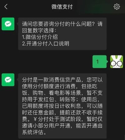 微信分付额度套现攻略，轻松获取309元额度秘籍