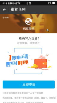 关于花呗提现的实用指南，操作、注意事项与案例分析