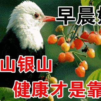 iPhone 5微信聊天记录恢复攻略，轻松找回你的珍贵回忆
