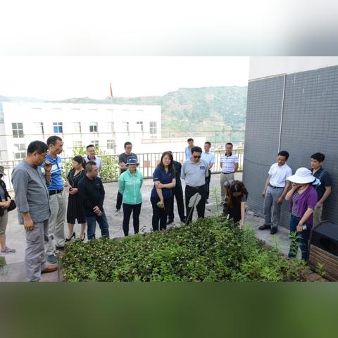 掌握医药品牌产品拍摄技巧，提升品牌形象与销量