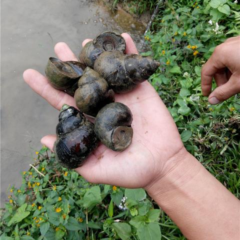 南宁那边靠什么致富，深度解析与案例分享