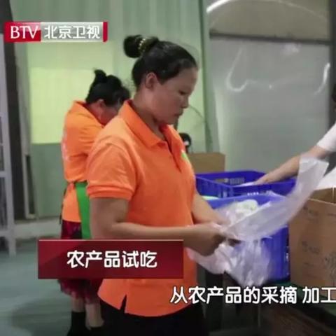 国外致富之道探究，多元路径与成功案例剖析