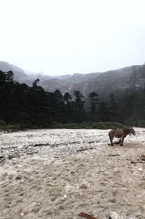 美国高山户外品牌，引领极限挑战的先锋