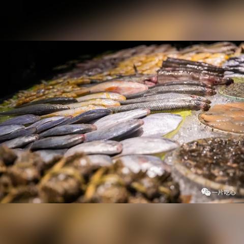 滨学校附近餐饮品牌大盘点