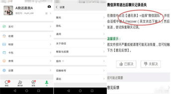 揭秘网络盗取聊天记录的手法与防范措施