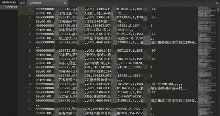 查开房记录网址真的靠谱吗？揭秘背后的风险与真相