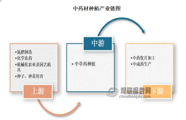 中药创业新渠道项目及案例分析