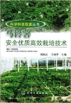 种菜致富秘诀详解，从入门到精通的全方位指南