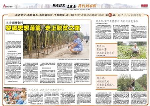 义乌靠什么致富的，一个探讨与解析