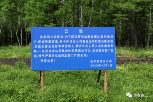 探索致富之路，小说中的致富门路揭秘