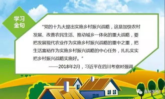 探索致富之路，小说中的致富门路揭秘