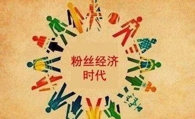 小粉丝创业路，探索赚钱生意经
