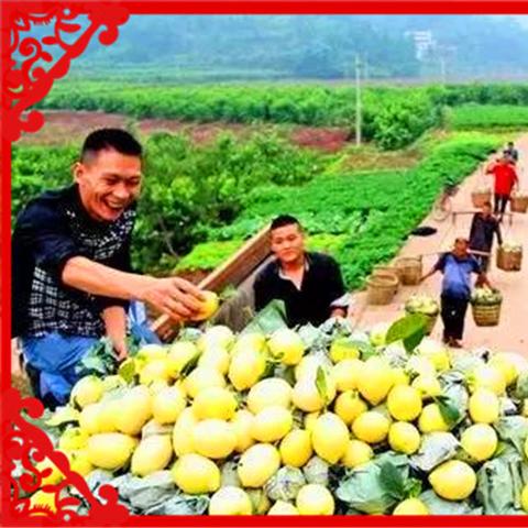 致富项目做什么赚钱？全面解析热门赚钱途径与案例