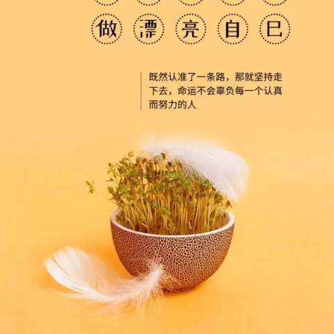 掌握微信聊天记录的秘籍，如何查看他人微信信息