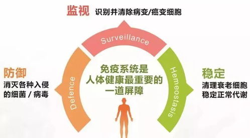 全球户外餐桌品牌大盘点