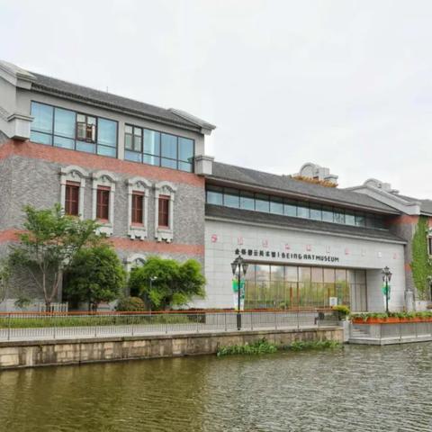 上海室内家居地毯品牌精选指南