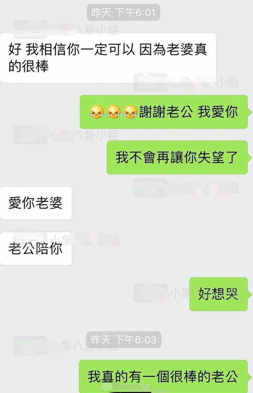 如何老婆的聊天记录，揭秘夫妻间的甜蜜互动