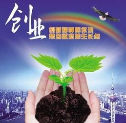 白手起家做什么公司赚钱，创业路上的机遇与挑战
