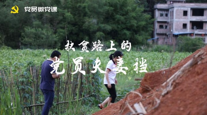 扶贫致富之路，探索与实践的故事