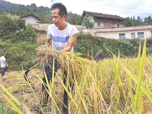 扶贫致富之路，探索与实践的故事