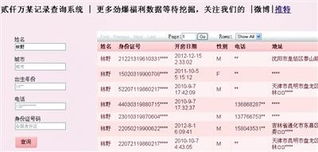 揭秘查酒店开房记录网址，真相、风险与合法途径