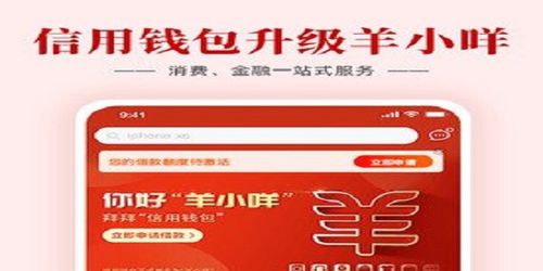 羊小咩便荔卡，24期轻松提现，你的资金周转小能手！