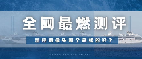 全球户外监控品牌大比拼