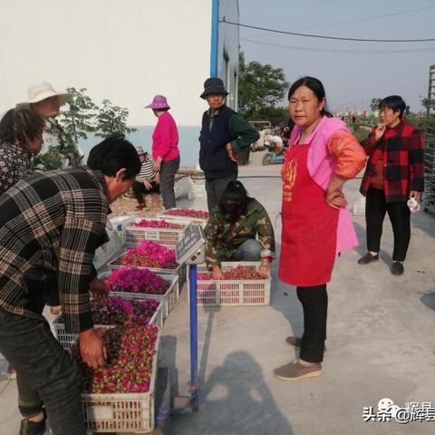 辉县人的行业选择与赚钱之道