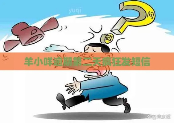 惊魂一夜，我的羊小咩享花卡被盗用，维权之路漫漫
