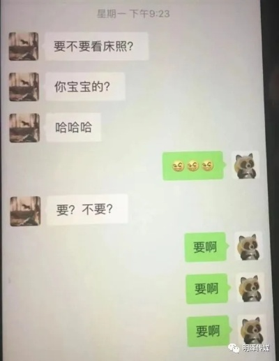 揭秘老婆和情人监控聊天记录，揭秘背后的真相与应对策略