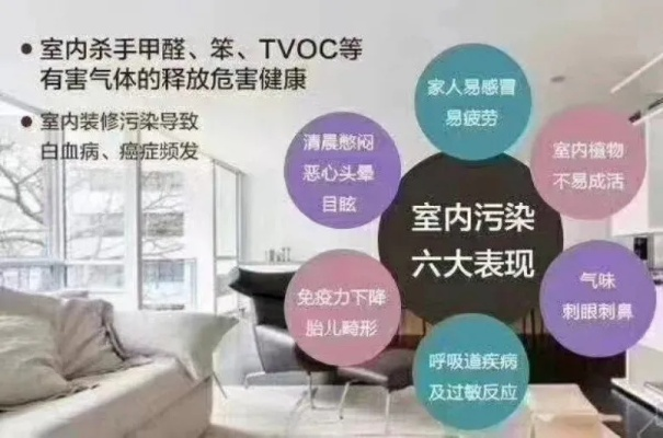 装修除甲醛加盟品牌，环保事业的新篇章